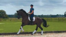Milo Johnston on his dressage comeback