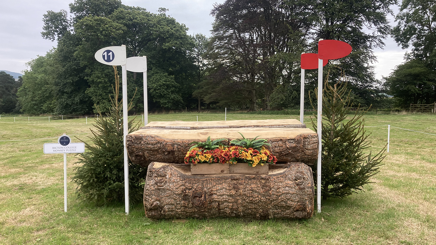 Bicton-fence11
