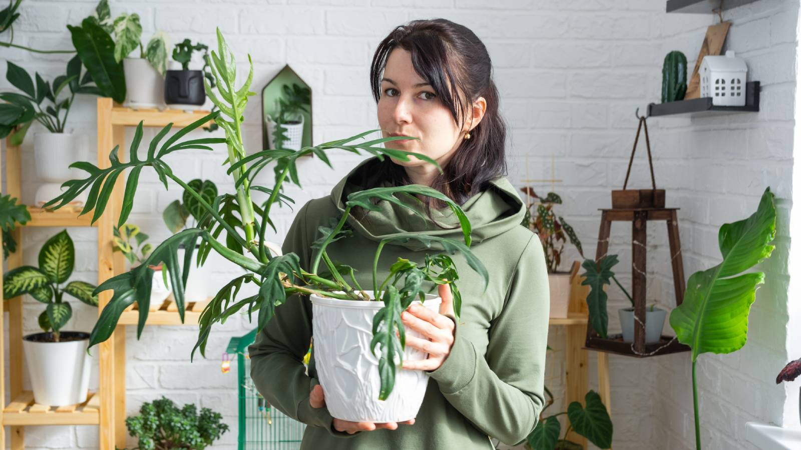 A woman holding a potted monstera plant looks into the camera