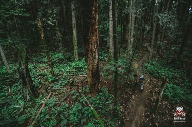 Some solo time in the jungle.