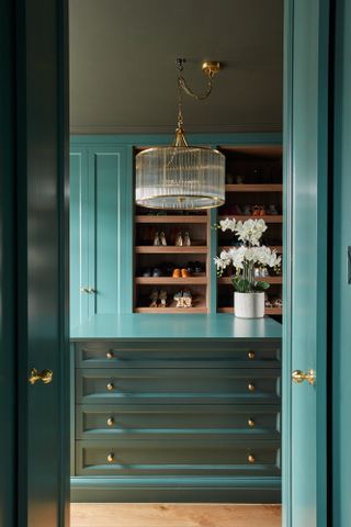 A walk in closet painted a rich tone of green, with a glossy finish