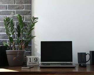 ZZ plant on office desk with laptop, calendar and mug
