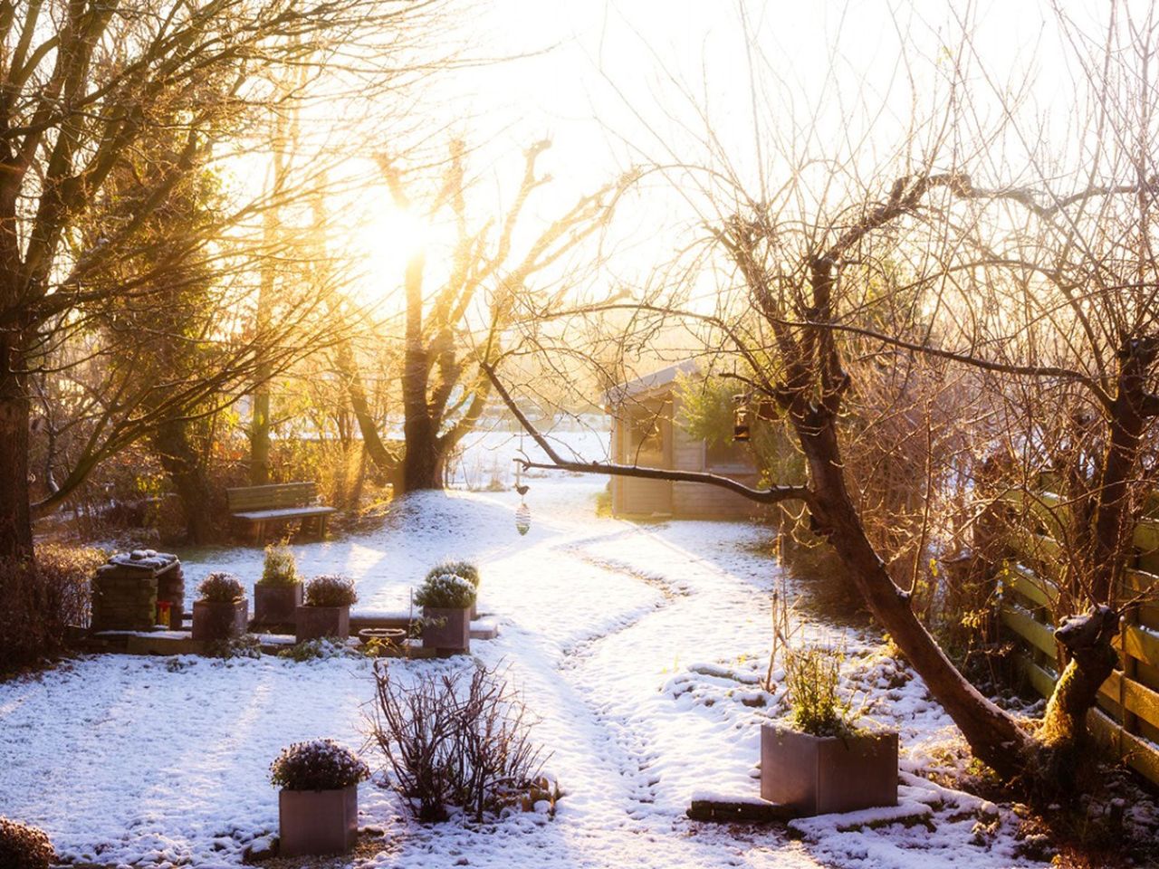 Winter Garden Covered In Snow