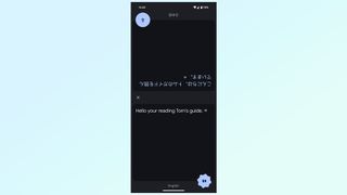 google translate features in the google app