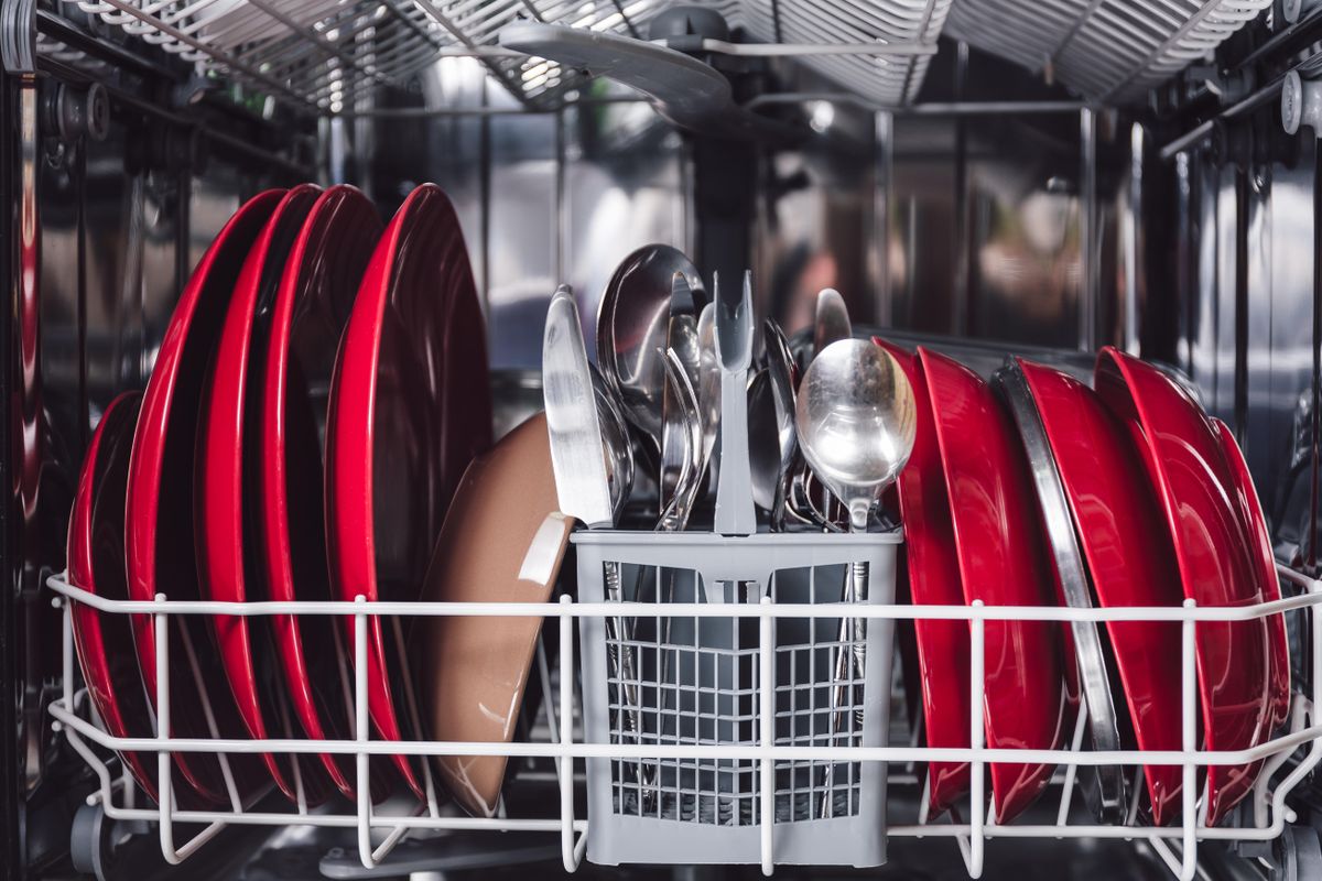 How to unclog a dishwasher – expert advice if yours won't drain