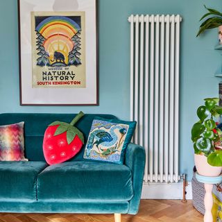 Living area painted light blue with teal blue velvet sofa and decorative novelty cushions