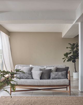 Beige living room with grey sofa and large houseplants
