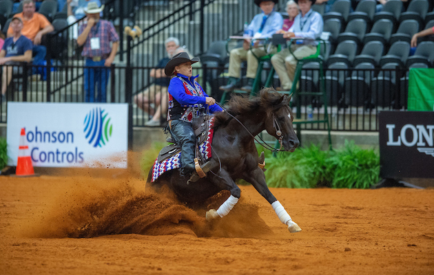 FEI World Equestrian Games&amp;ocirc; Tryon 2018 - North Carolina, USA