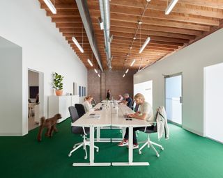 Staff at desks at CAKE HQ, Venice, California, by Shin Shin Architects