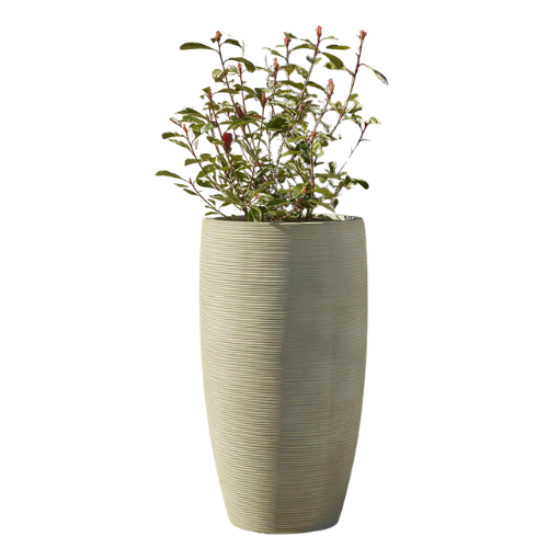coxandcox, Extra Large Panama Planter