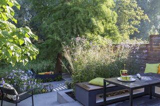 north facing garden North-facing gardens: your ultimate guide to design and planting