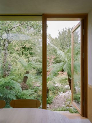 Looking towards overgrown garden at London house by Architecture For London