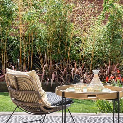 Conversation set with table and chair, overlooking a screen of bamboo plants
