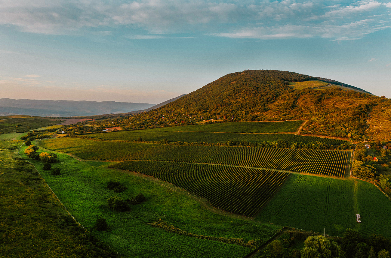 The Eger wine district in Hungary