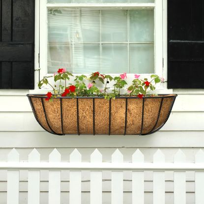 Coconut husk lined window box on white cladded panel house exterior with blue