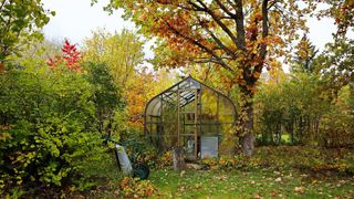Garden tasks you should do in October