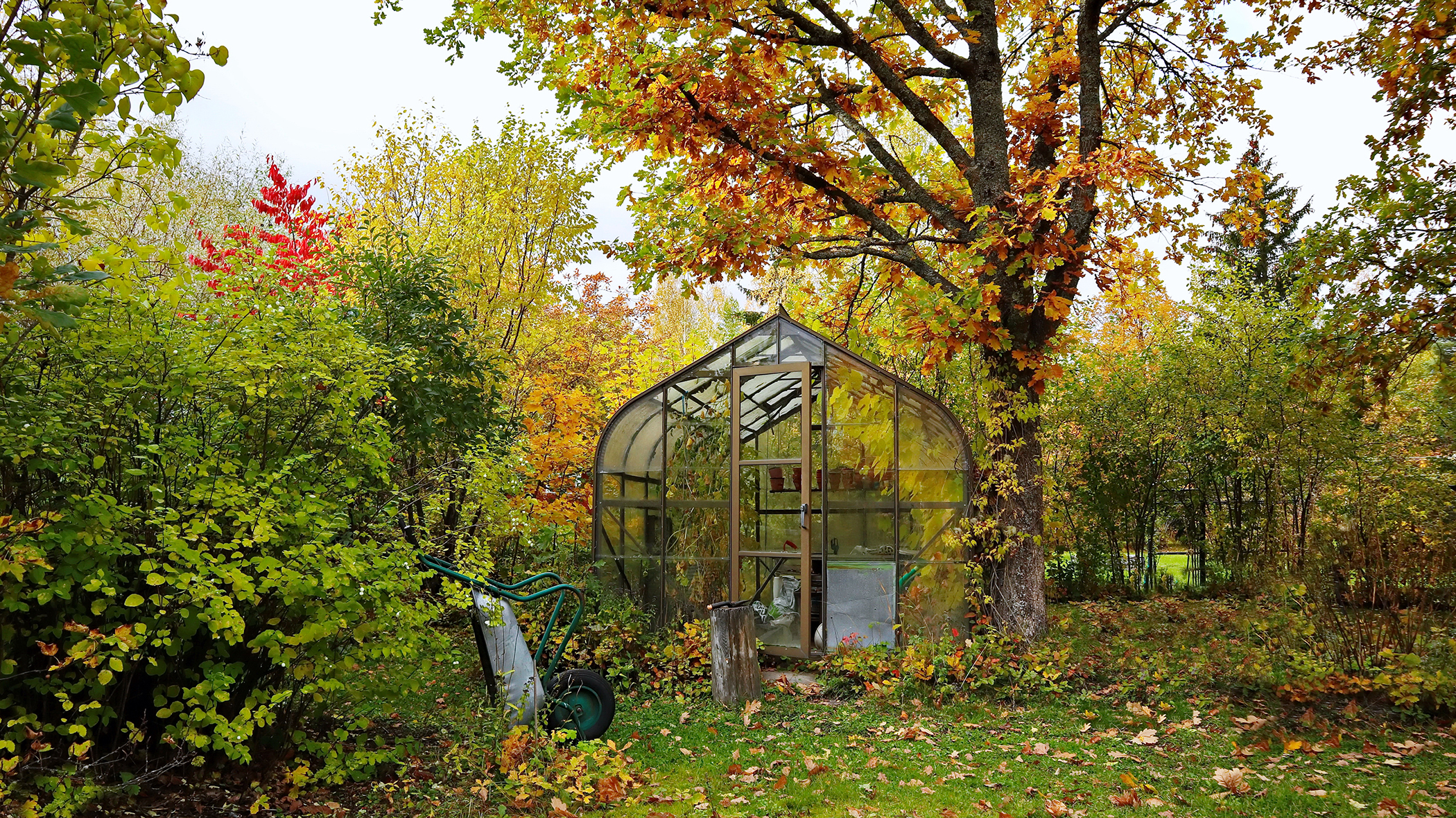 Garden tasks you should do in October