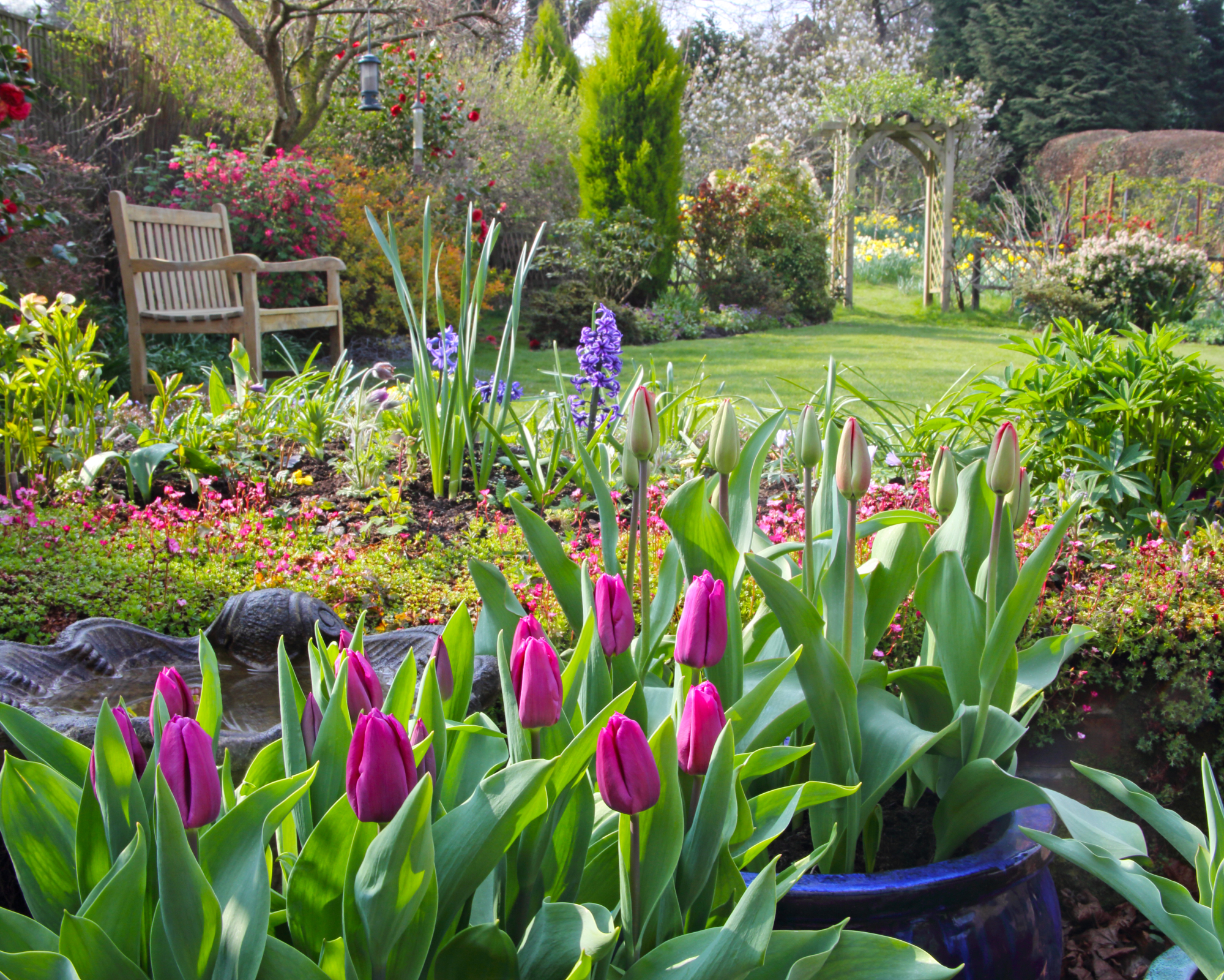 Layered garden design with arborvitae