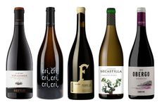 Somontano regional profile wines