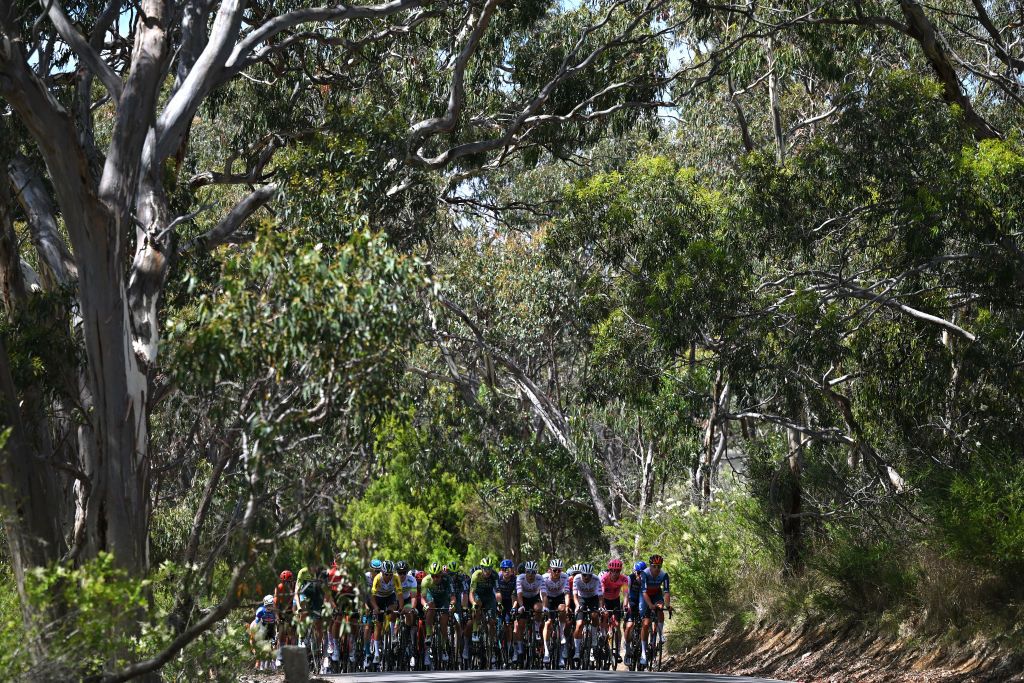 Peloton massed together on stage 3