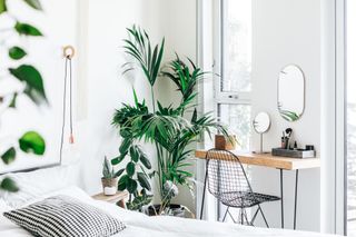 A bedroom with large leafy plants and a wire chair and wooden desk