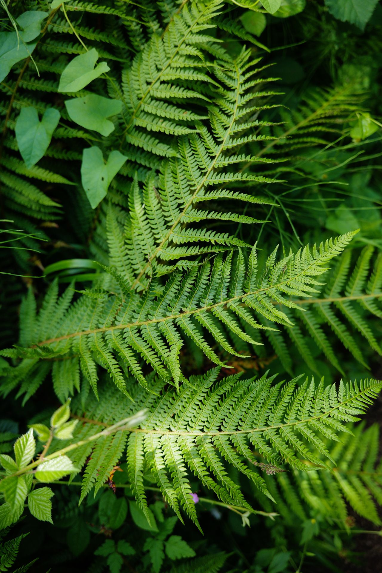 A photo taken on a Leica SL3-P full frame mirrorless camera