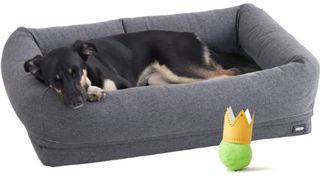 BarkBox Memory Foam Orthopedic Dog Bed