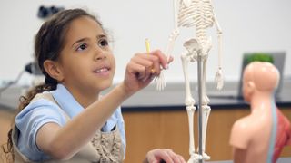 Young female student examines a miniature human skeleton model during anatomy class. 