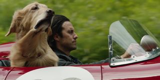 Milo Ventimiglia and the dog who plays Enzo in The Art of Racing in the Rain