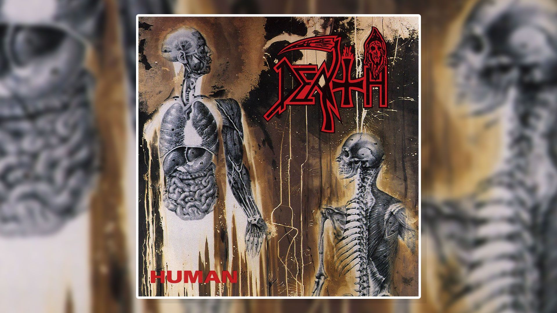 The album artwork for Death's 1991 album Human