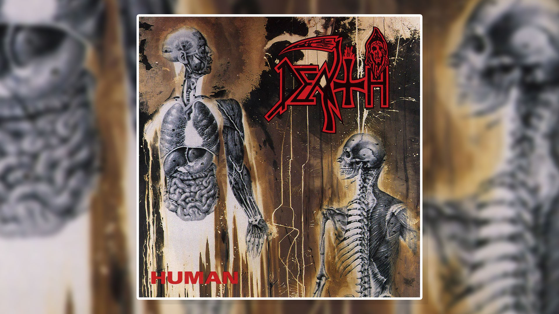 The album artwork for Death's 1991 album Human