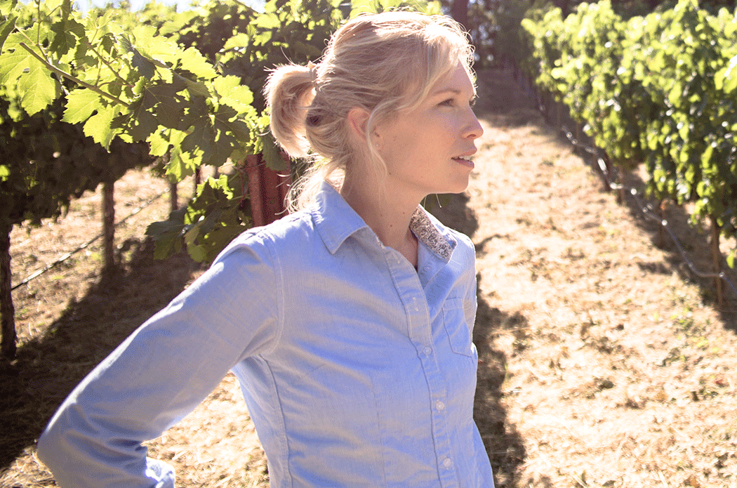 Diana Snowden Seysses- Ashes &amp;amp; Diamonds