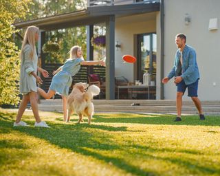 Smiling Beautiful Family of Four Play Fetch flying disc with Happy Golden Retriever Dog on the Backyard Lawn
