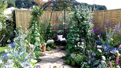 climbing plant support ideas: flower covered bower