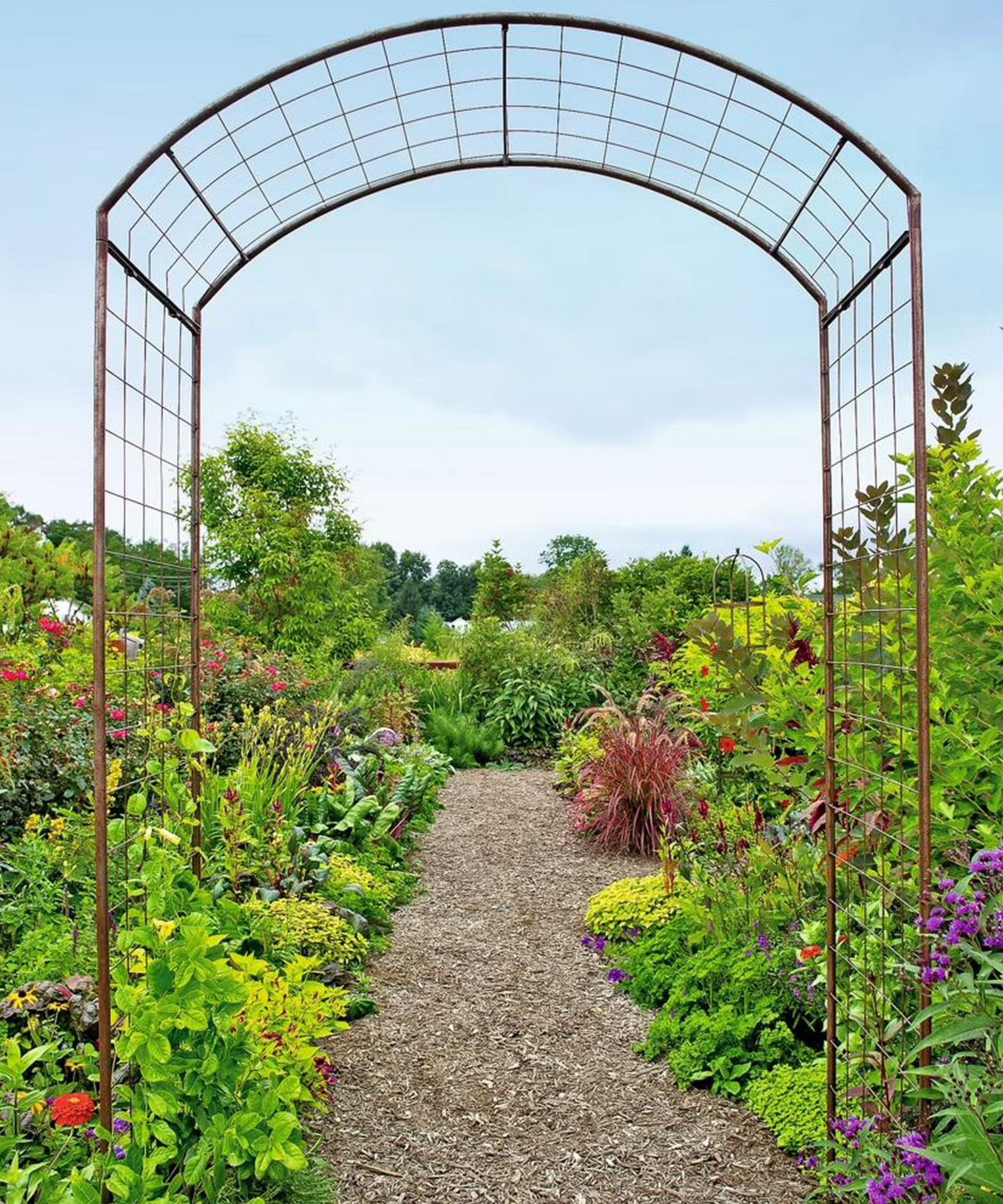 Gardener's Supply Company 8' Jardin Rose Arch Steel Arbor