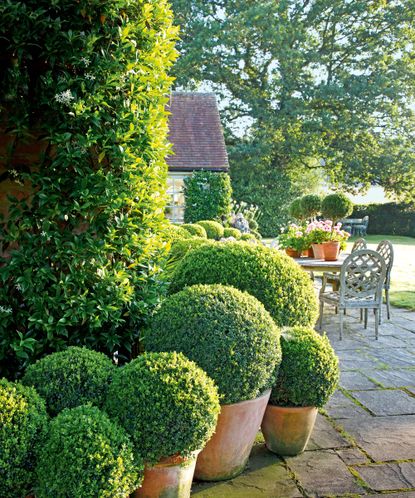 Landscaping with evergreens: 12 ways to make an impact | Gardeningetc