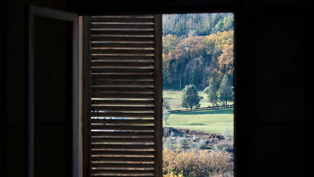 10 fall gardening tips: image of autumnal outside scene outside window