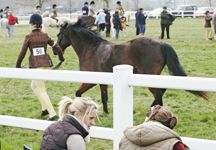 west_mids_show-hr.JPG