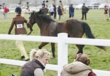 west_mids_show-hr.JPG