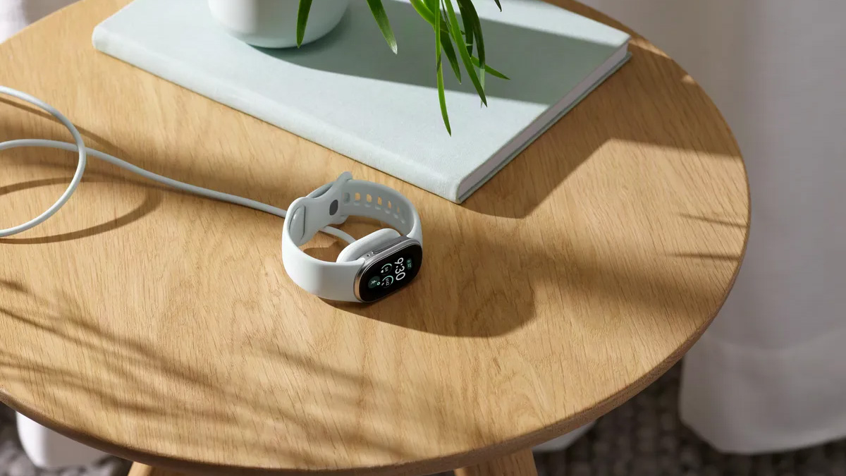 Google Fitbit Edge
