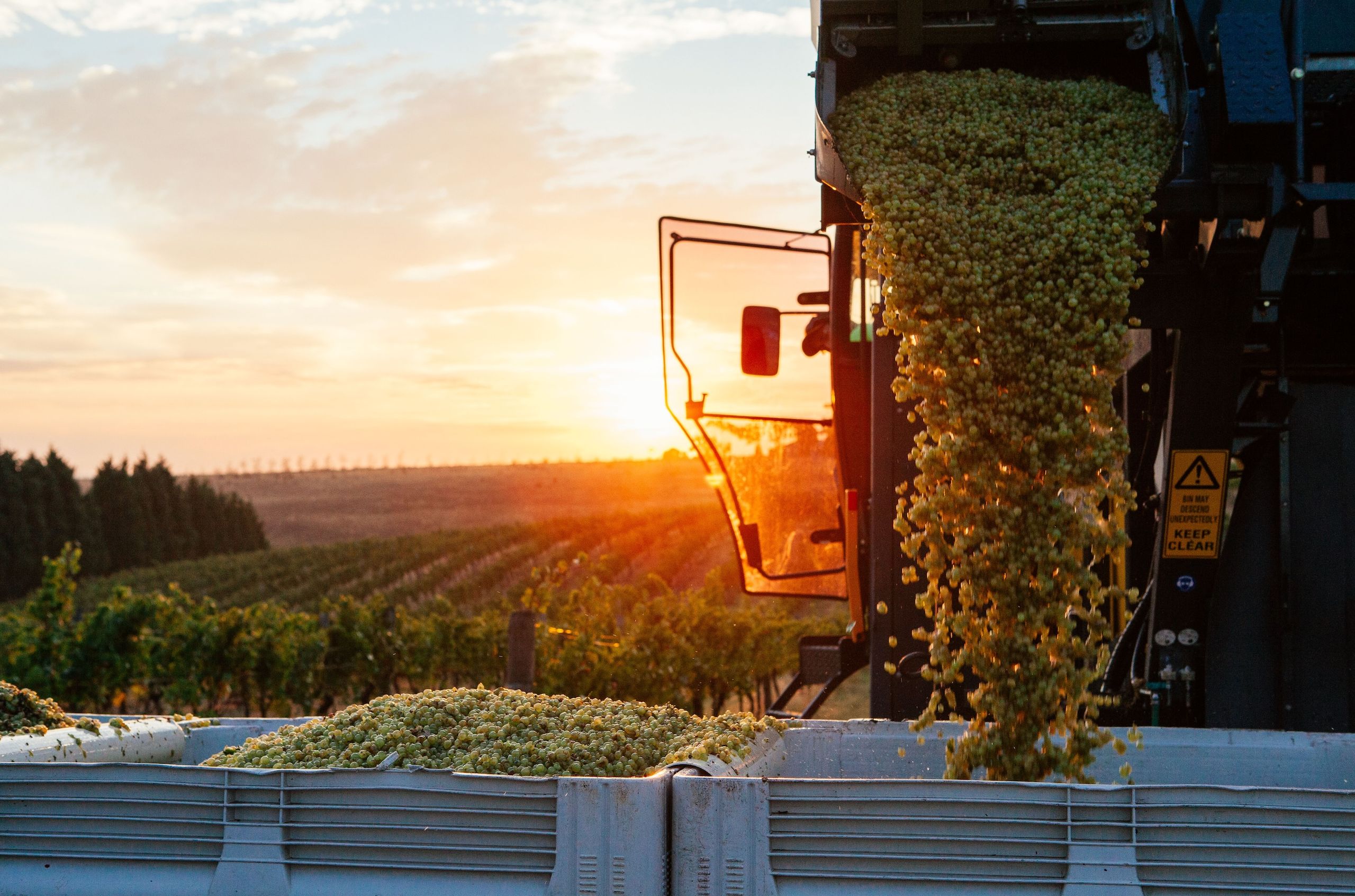 Taking the road west of Melbourne to discover Victoria's best-kept wine secret – Geelong and the Bellarine Peninsula