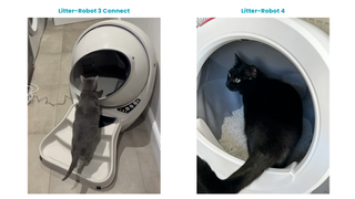 Collage of Philips cat climbing inside the Litter-Robot 3 Connect and Jo's cat inside the Litter-Robot 4