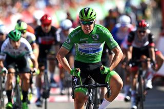 SANTA CRUZ DE BEZANA SPAIN AUGUST 31 Fabio Jakobsen of Netherlands and Team Deceuninck QuickStep Green Points Jersey celebrates at finish line as stage winner during the 76th Tour of Spain 2021 Stage 16 a 180km stage from Laredo to Santa Cruz de Bezana lavuelta LaVuelta21 on August 31 2021 in Santa Cruz de Bezana Spain Photo by Stuart FranklinGetty Images