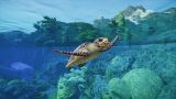 Planet Zoo 2 review