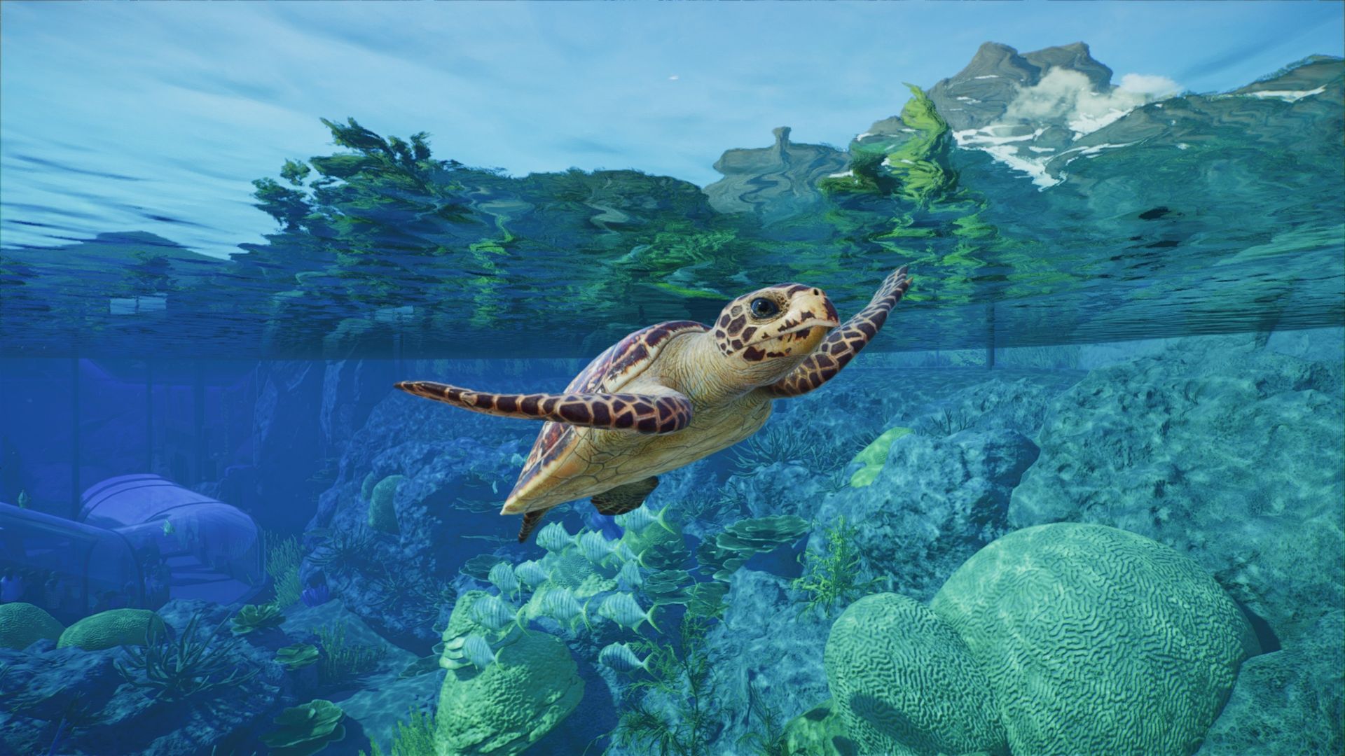 Planet Zoo 2 review: Superstar animals and frustrating micromanagement