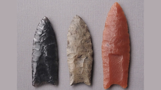 A picture of three replica Clovis points showing the tools' scalloped edges and fluted indentations at the base.