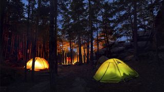 Tents with internal lighting, among trees at night