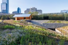 views of newly opened Calder Gardens by Herzog and de Meuron with landscape design by Piet Oudolf
