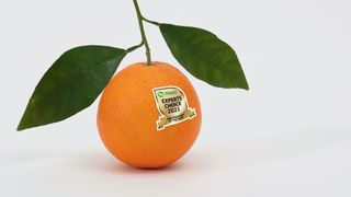 A tangerine with a MECA sticker