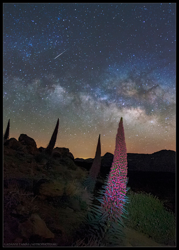 Milky Way and Meteor Over Canary Islands